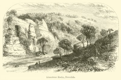 Limestone Rocks, Dovedale by G. F. Sargent